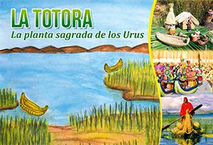 La Totora «La planta sagrada de los Urus»