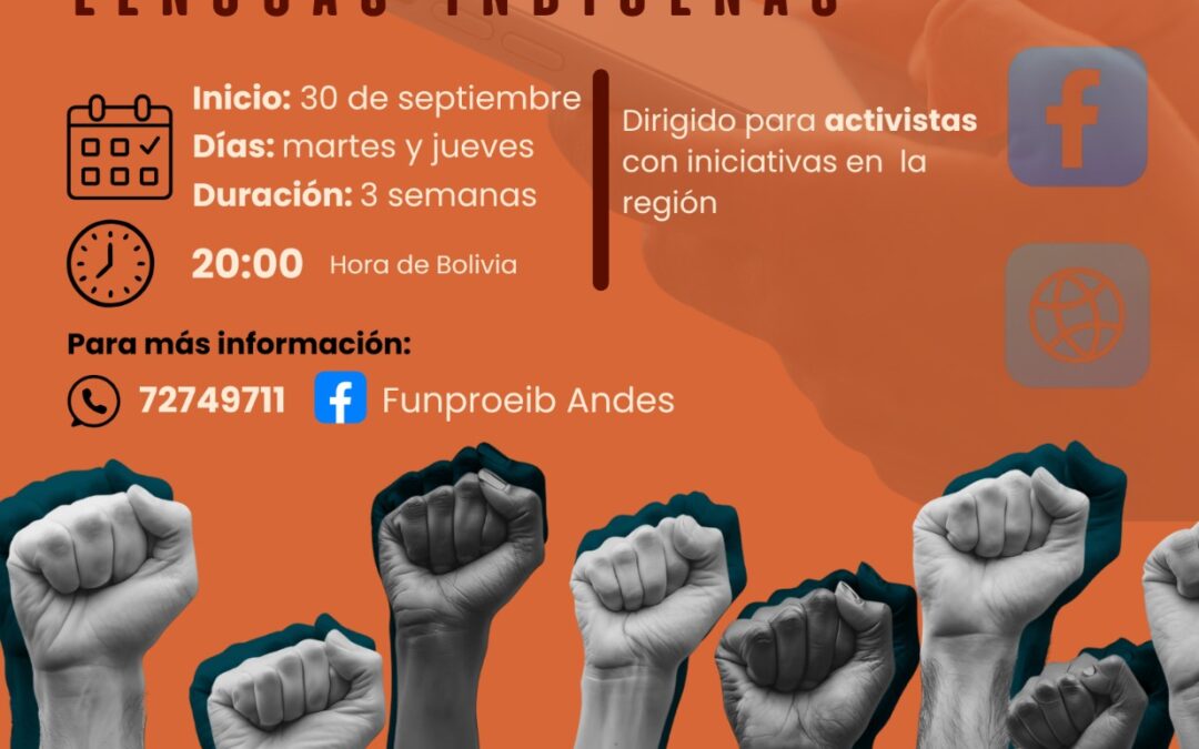 Taller virtual: Estrategias para el activismo digital en lenguas indígenas, 2ªversión