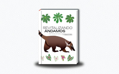 Revitalizando Andamos